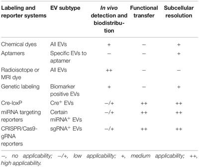 Reporter Systems for Assessments of Extracellular Vesicle Transfer